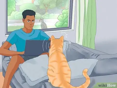 Image titled Why Do Cats Chatter Step 7