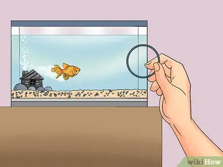 Image titled Train Goldfish Step 10