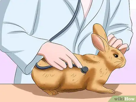 Image titled Treat Digestive Problems in Rabbits Step 6