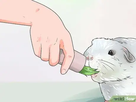 Image titled Make Guinea Pig Treats Step 10