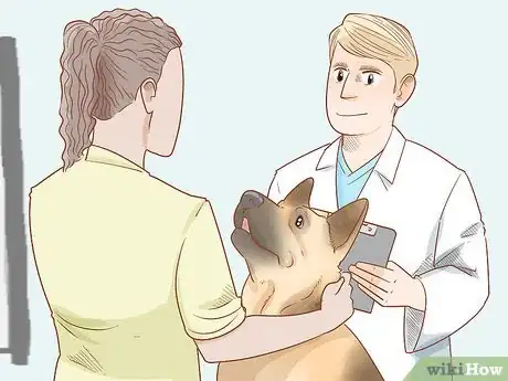 Image titled Determine Benadryl Dosage for Dogs Step 8