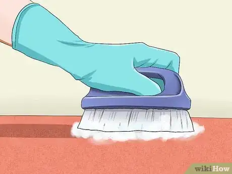 Image titled Remove Cat Urine Smell Step 10