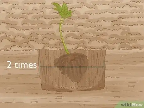 Image titled Grow Chestnut Trees Step 10