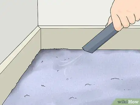 Image titled Clean Carpet Edges Step 1