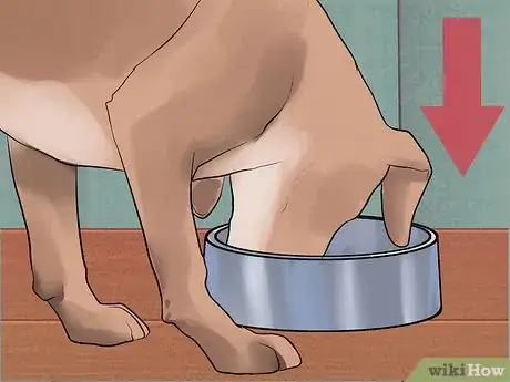 Image titled Get Rid of Dog Hiccups Step 2