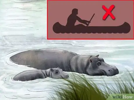 Image titled Deal With a Hippo Encounter Step 10