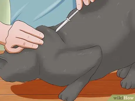 Image titled Give a Cat an Injection Step 7