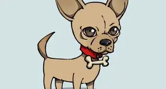 Draw a Chihuahua