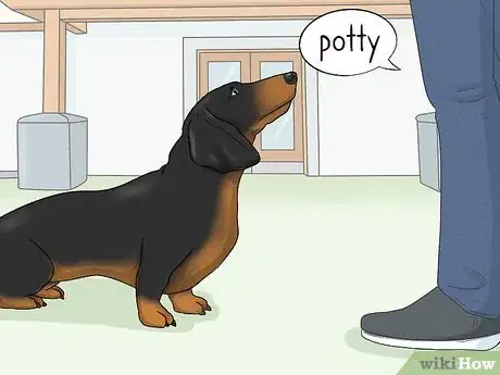 Image titled Potty Train a Dachshund Step 4