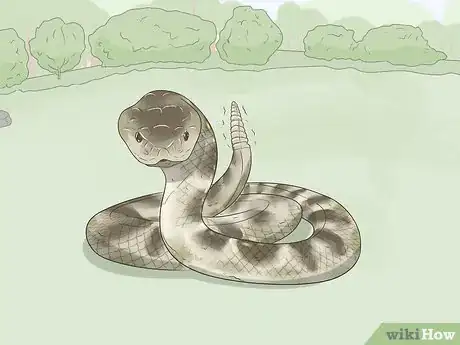 Image titled Avoid Snakes Step 5