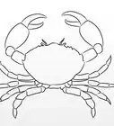 Draw a Crab