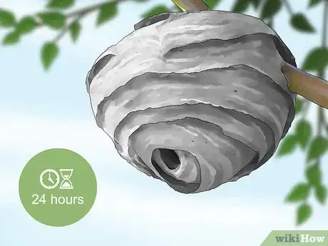 Image titled Kill a Hornet Nest Step 16