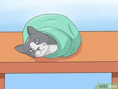 Image titled Give Your Cat Nose Drops Step 20