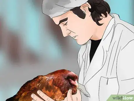 Image titled Start a Chicken Farm Business Step 14