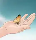 Hold a Butterfly