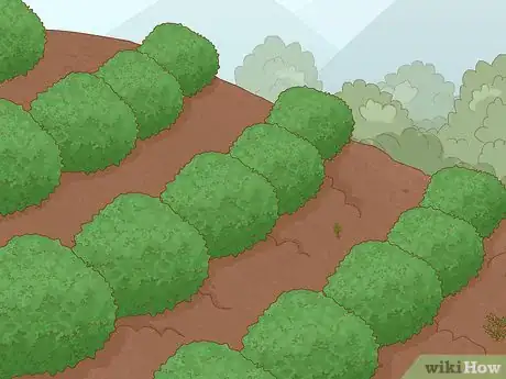 Image titled Prevent Soil Erosion Step 1