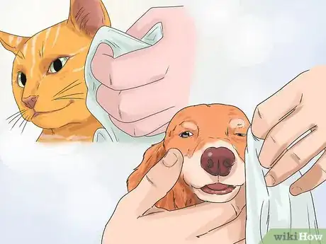 Image titled Eliminate Tear Stains on Cats and Dogs Step 1