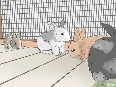 Image titled Care for a Rabbit Step 18