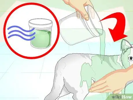 Image titled Make an Herbal Flea Remedy for Cats Step 21