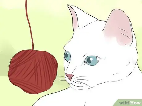 Image titled Tell if Your Cat Is Blind Step 9