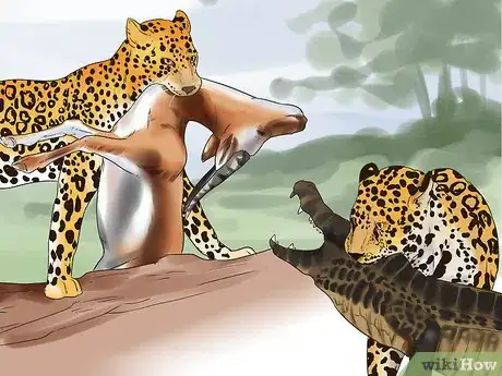 Image titled Tell a Jaguar from a Leopard Step 5