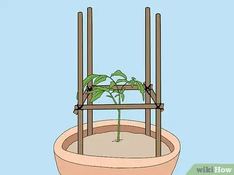 Image titled Support Tomato Plants in Pots Step 10