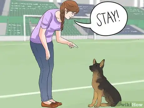 Image titled Train a German Shepherd to Be a Guard Dog Step 3