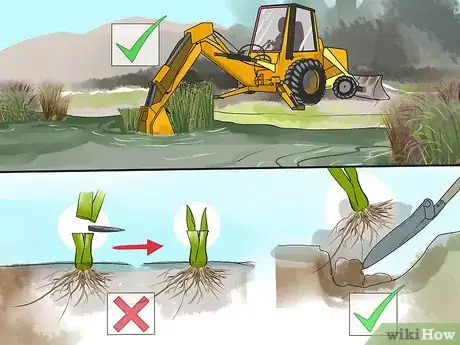 Image titled Get Rid of Cattails Step 1