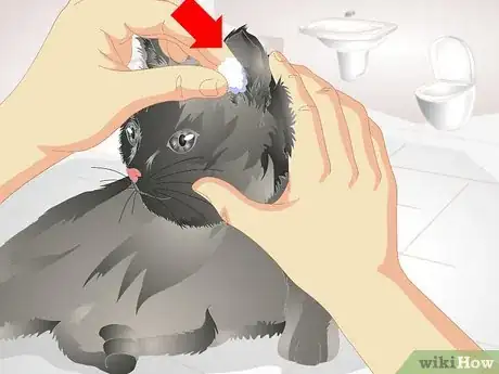 Image titled Remove Urine Smells from a Pet Step 8