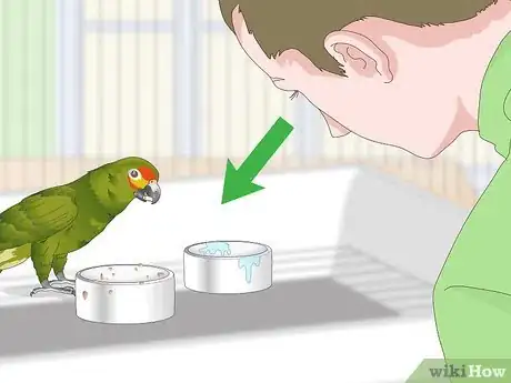 Image titled Feed an Amazon Parrot Step 11