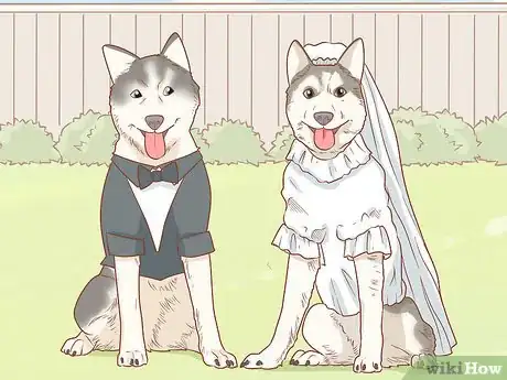 Image titled Host a Dog Wedding Step 8