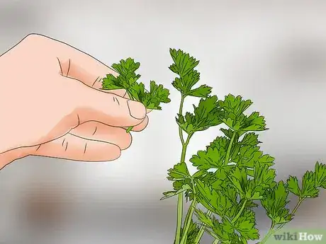 Image titled Harvest Celery Step 10