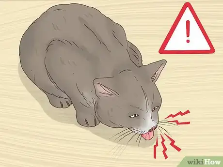 Image titled Help a Cat Cough Up a Hairball Step 16