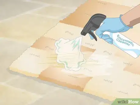 Image titled Get Dog Urine Smell out of Carpets Step 15