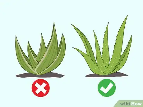 Image titled Use Aloe Vera Gel on Your Face Step 10