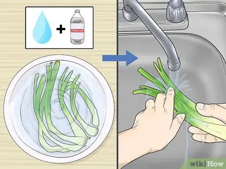 Image titled Store Scallions Step 5