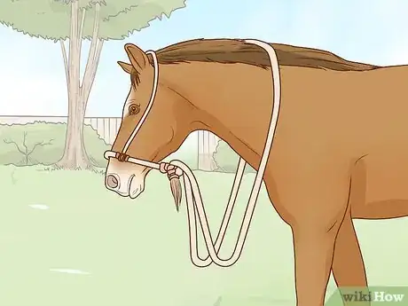 Image titled Tie a Bosal Step 11