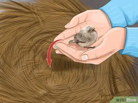 Image titled Make Baby Bird Rescue Food Step 8