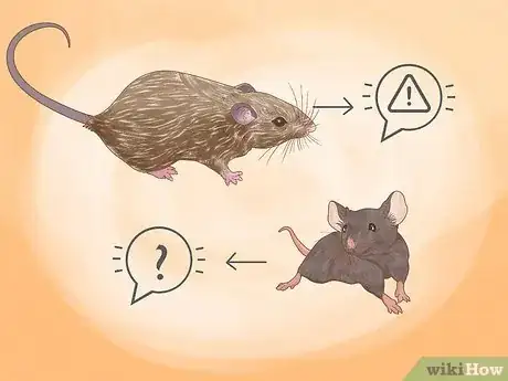 Image titled Catch a Rodent in Your House Step 4