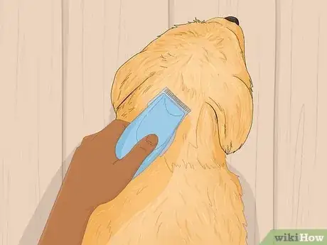 Image titled Groom a Goldendoodle Step 9