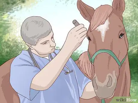 Image titled Get Rid of Ear Plaque in Horses Step 1