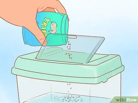 Image titled Hatch Triops Step 5