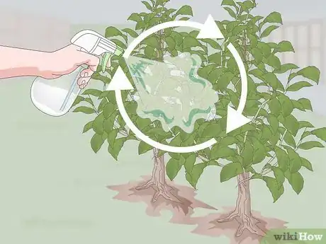 Image titled Make Garlic Garden Spray Step 15