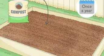 What Soil Do You Use in Raised Garden Beds