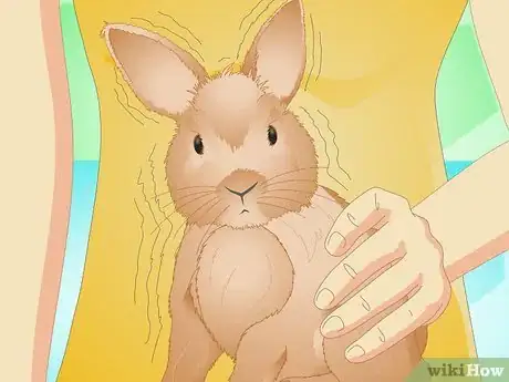 Image titled Determine if Your Rabbit Is Sick Step 17