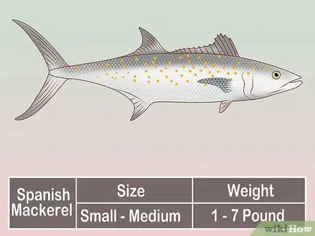 Image titled Create a Setup for Inshore Fishing Step 35