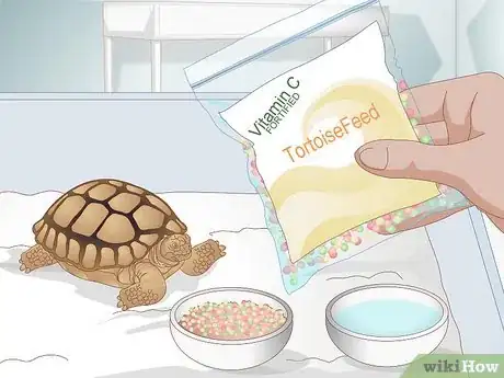 Image titled Diagnose Stomatitis in Tortoises Step 8