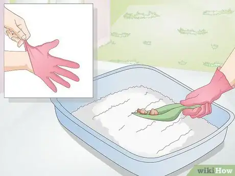 Image titled Avoid Germs when Cleaning a Litter Box Step 2