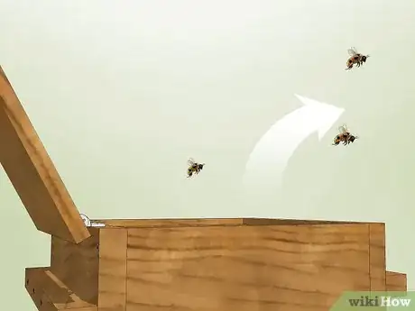 Image titled Follow Bees to Their Hive Step 8