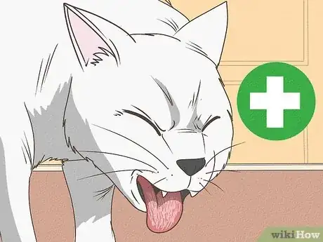 Image titled What Does It Mean when Your Cat Licks You Step 8